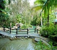Kewarra Beach Resort  Garden Area